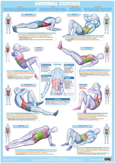 Abdominal And Core Muscle Training Poster Exercise Chart | Etsy Floor Workouts, Toning Workouts ...