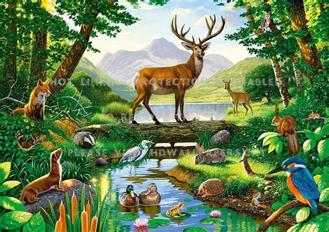 Drawing Of Wild Animals In Forest / You can edit any of drawings via ...