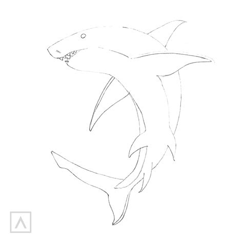 Easy Shark Drawing