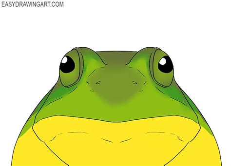 How to Draw a Frog Face - Easy Drawing Art