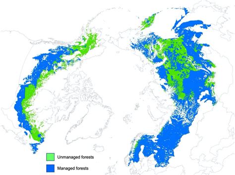 About Boreal Forests | IBFRA