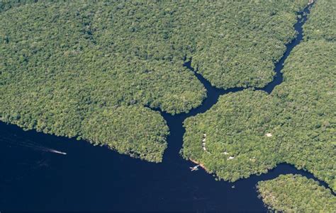 National Park of Anavilhanas in Amazonas, Brazil: Complete Guide