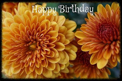 November Birthday Card: November Flower Chrysanthemum by Katrina of ...