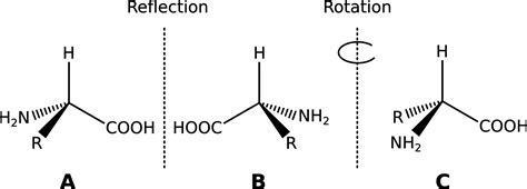 Illustration of enantiomers – PermaClipart