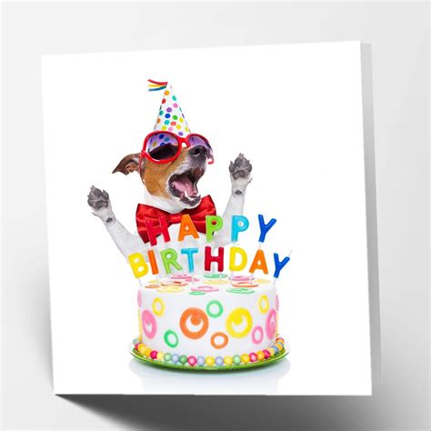 Scoff Paper Edible Happy Birthday Dog Card – The Card Your Dog Can Eat! Happy Birthday to CHEW ...