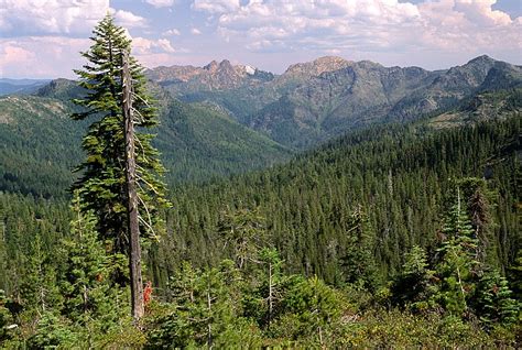 Best Hikes in Rogue River-Siskiyou National Forest (OR) - Trailhead ...