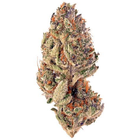 Autumn Brands: Tropicana Cookies F2 | Leafly