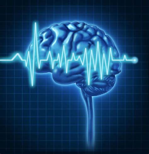 Eeg brain scan - ascsefestival