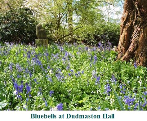 Dudmaston House Garden Opening Times - Great British Gardens