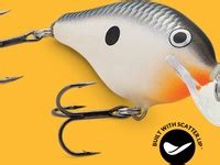 16 Hot New Fishing Lures/Baits ideas | fishing lures, fishing bait, bait