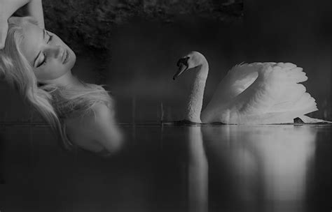 If you are for monogamy, you should marry a swan. | CLAUDIA DEA | Flickr