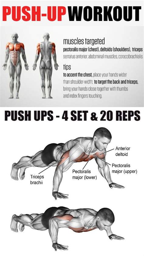 The pushup is an exercise that works almost every part of your body ...