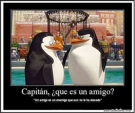 studioslera.com pingüinos amigos | Pinguinos de madagascar, Memes ...