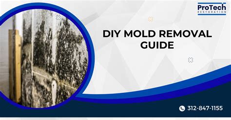 10 Best Tips for DIY Mold Removal Guide -Protech Restoration