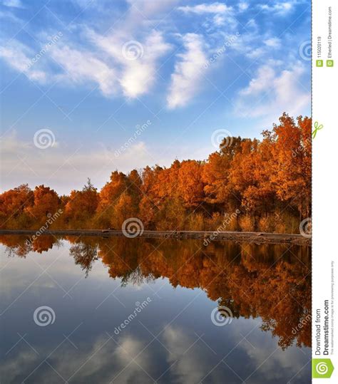 Calm Lake in the Fall Sunset Stock Image - Image of autumn, lake: 115020119