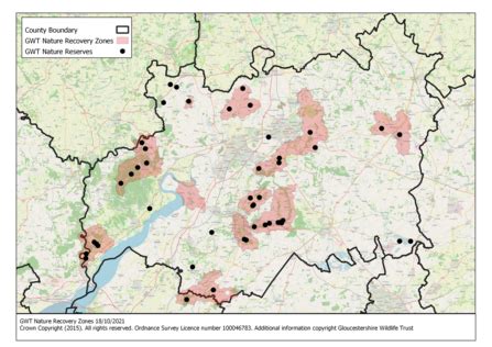 Estate Review 2021 | Gloucestershire Wildlife Trust