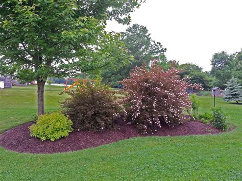 How to Design & Construct Landscape Mounds & Berms