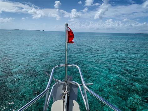 Scuba Diving in Belize: Top Dive Sites & Info | Two Wandering Soles