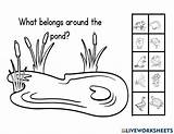 Pond Worksheets For Kindergarten And First Grade  Updated sketch template