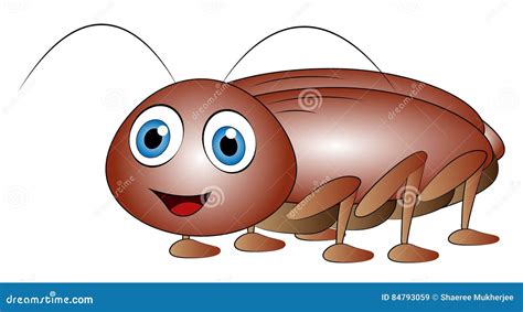 Eyes Of Cockroach | Roach | cockroach | Insect