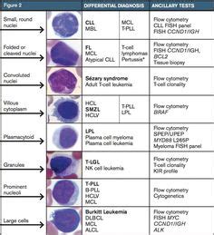 API 20E strip van een Proteus mirabilis | Microbiology, Science lab ...