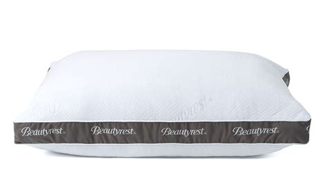 Top 10 Best Beautyrest Pillows of 2020 - Barbieinablender.org