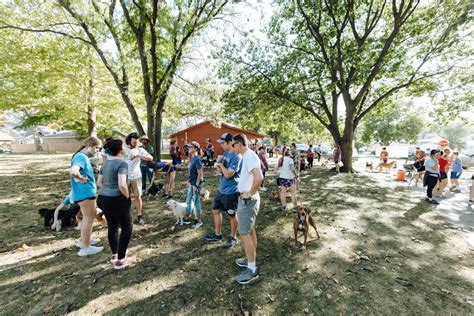 2022 WALK for PAWS | ANNUAL FUNDRAISER - STACY IDEUS PHOTOGRAPHY