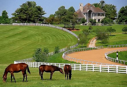 Popular Horse Farms Around Lexington