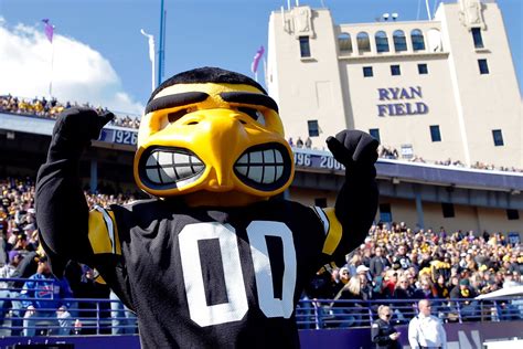 Iowa football: Herky not getting respected in these mascot rankings