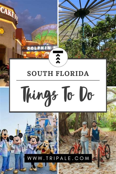 20 Most Fun Things To Do In South Florida