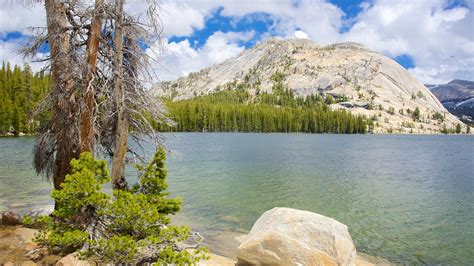 Top 10 Hotels Closest to Tenaya Lake in Yosemite National Park from $137 | Expedia