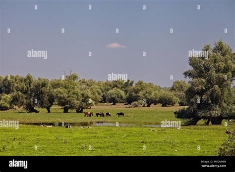 Delta wild and scenic river hi-res stock photography and images - Alamy