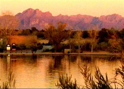 1000+ images about Things to Do in Gilbert Arizona on Pinterest