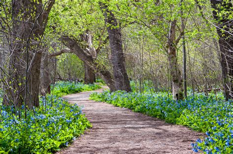 Hike Up to Stunning Overlooks on the Potomac Heritage Trail - Washingtonian