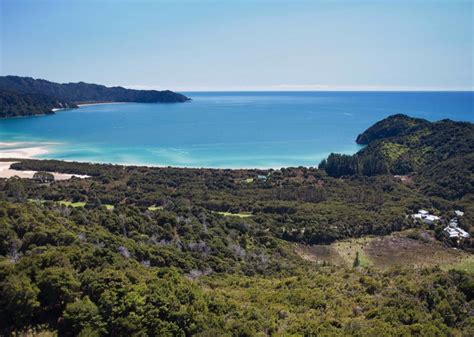 Luxury Awaroa Lodge by 'NZ's beach' comes to market | Tourism Ticker