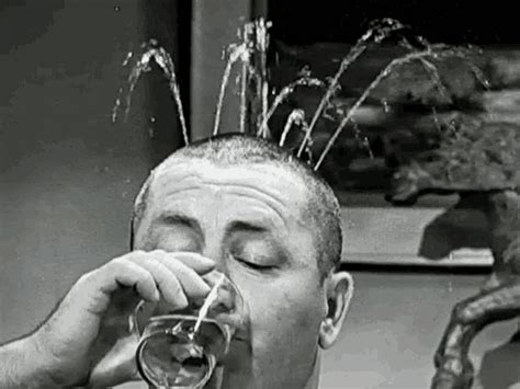 Drinking Three Stooges GIF - Drinking Three Stooges Water - Discover ...