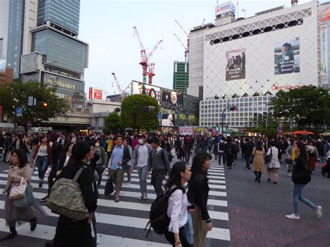 Shibuya Crossing