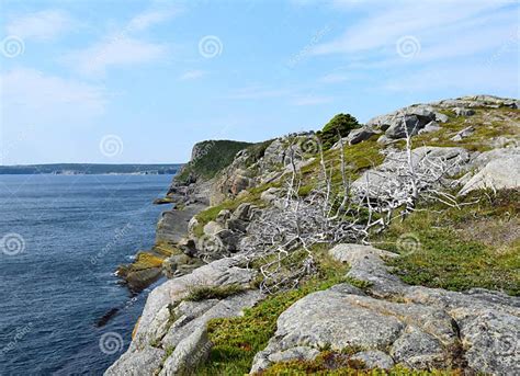 Scenic Shoreline at Father Troy East Coast Trail Stock Photo - Image of coast, killick: 122124184