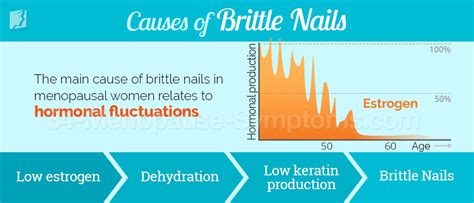 Brittle Nails Symptom Information | 34 Menopause Symptoms