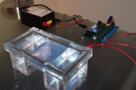 Agarose Gel Electrophoresis - Biomall Blog