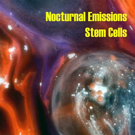 Stem Cells | Nocturnal Emissions