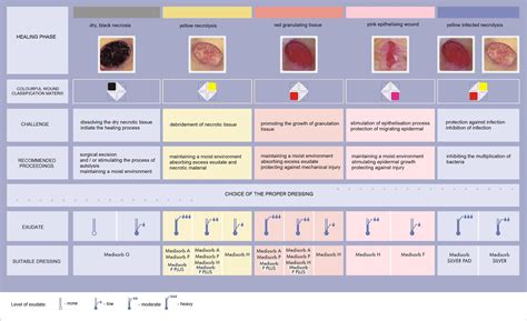 Pressure Ulcer Staging Google Search Pressure Ulcer Pressure Ulcer Images