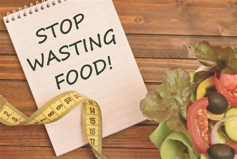 6 Environment-Friendly Ways to Recycle Food Waste - Conserve Energy Future