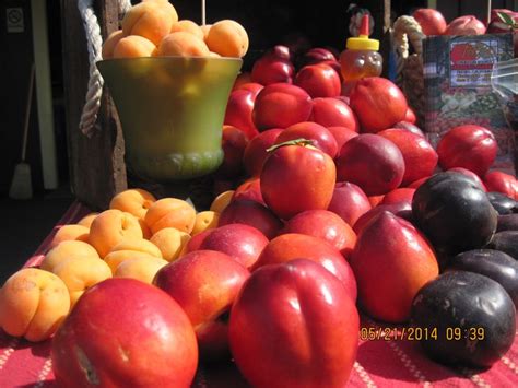 Fresno County Fruit Trail We may not know every fruit shown there, but at the Fresno County ...