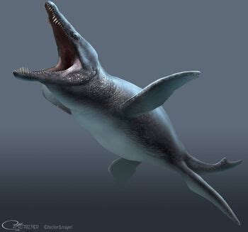 Liopleurodon | ARK: Survival Evolved Wiki | Fandom