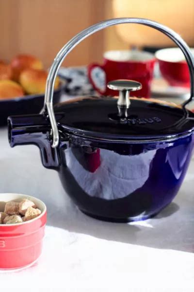 Staub Cast Iron 1-qt Round Tea Kettle | Urban Outfitters