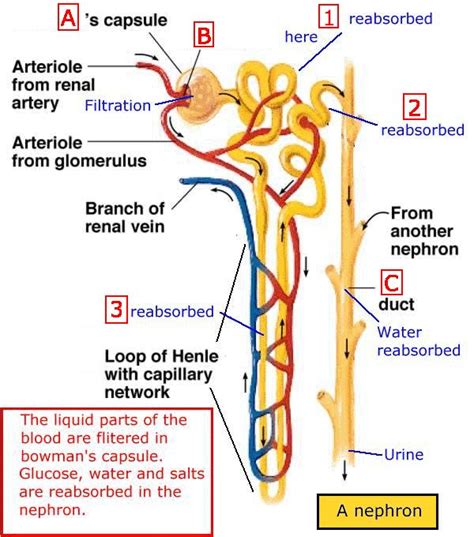 Pin on Nursing