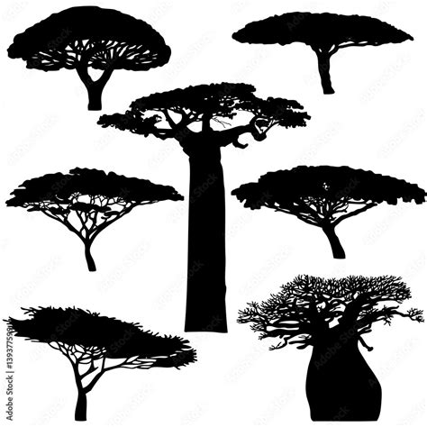 Black silhouette various of African trees on a white background ...