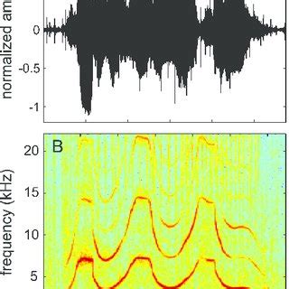 (PDF) Recognition of Frequency Modulated Whistle-Like Sounds by a ...