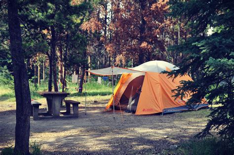 Camping in Jasper? You absolutely need to know this! - Take Them Outside